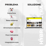 Visual branding HYBRID ULTRA – programma Atleta Ibrido per trasformazione fisica