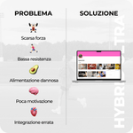 Allenamento gambe e glutei – forza, tonicità e prestazione femminile